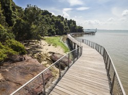 CHEK JAWA WETLANDS - BOARDWALK - Singapore Tourism Board.jpg