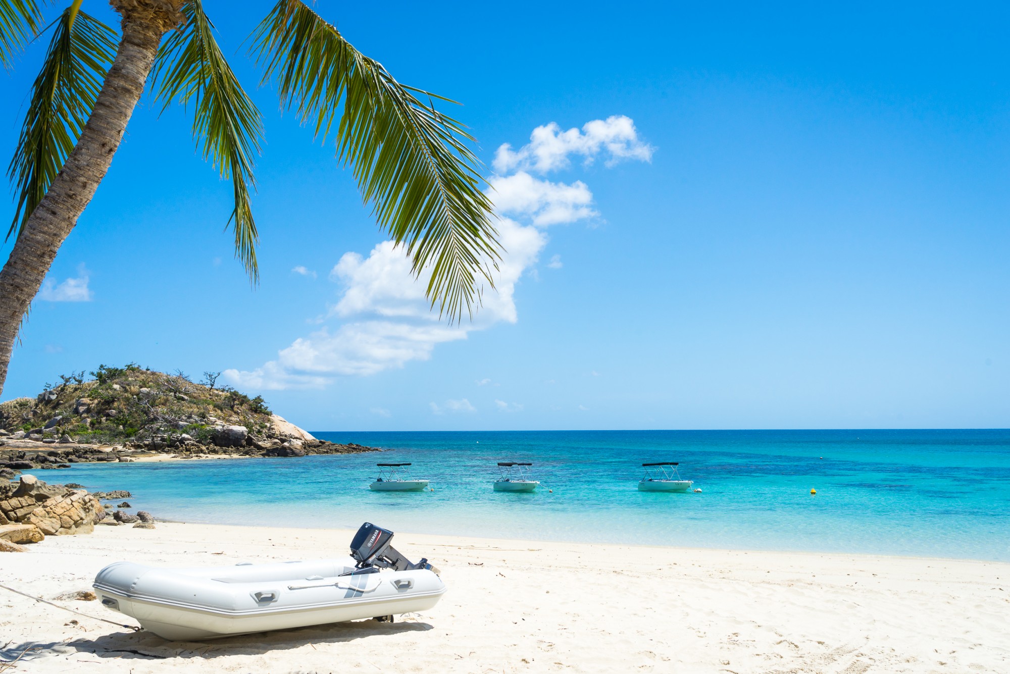 Boats docked at Beach in Lizrd Island.jpg