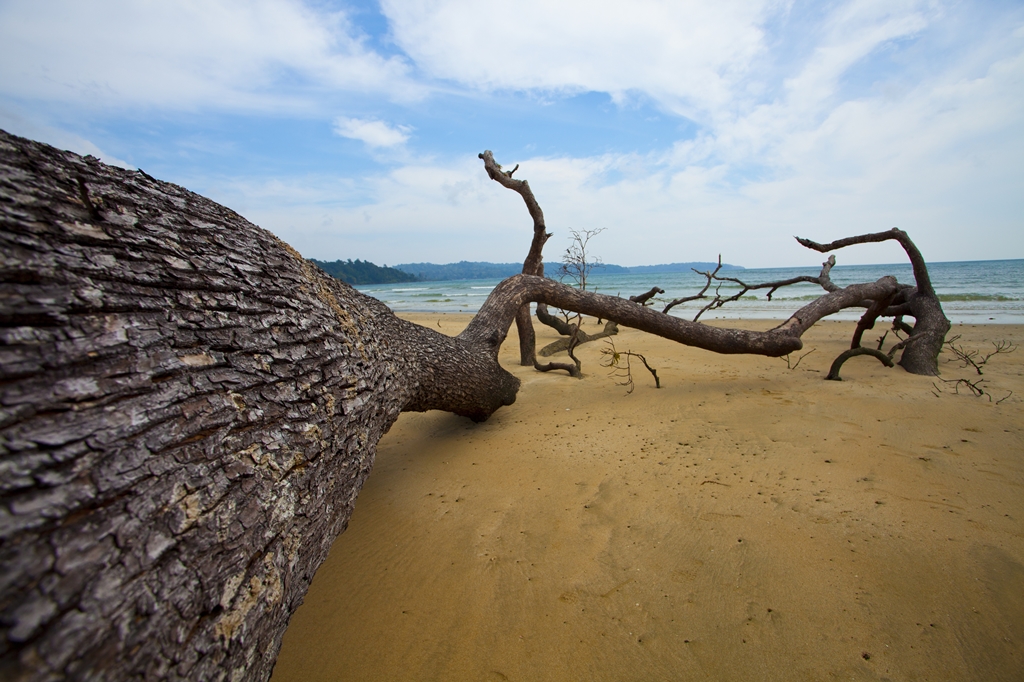 2 Neil Island Andaman.jpg